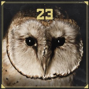 23 - 23